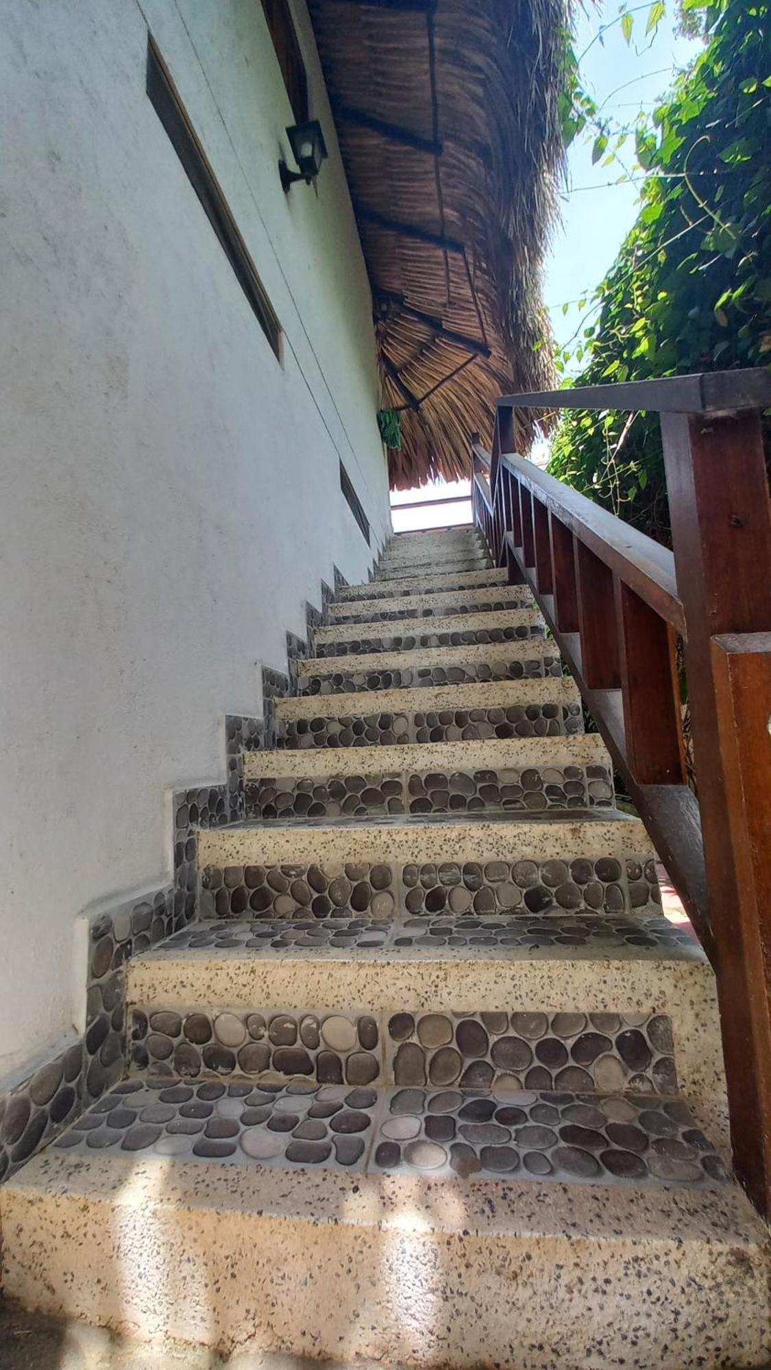 El Leon Feliz Palomino Hotel Екстериор снимка